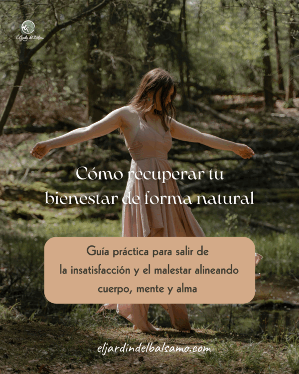 guia de bienestar holistico