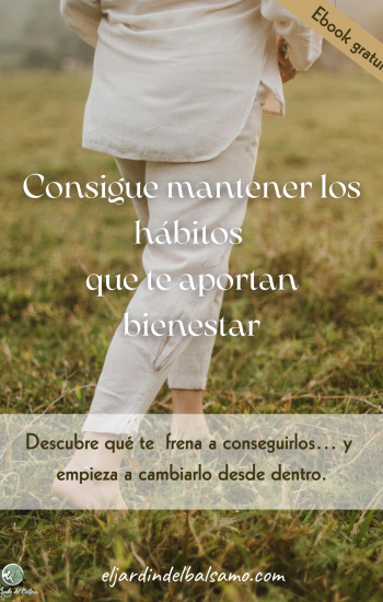 guia habitos bienestar guia habitos bienestar